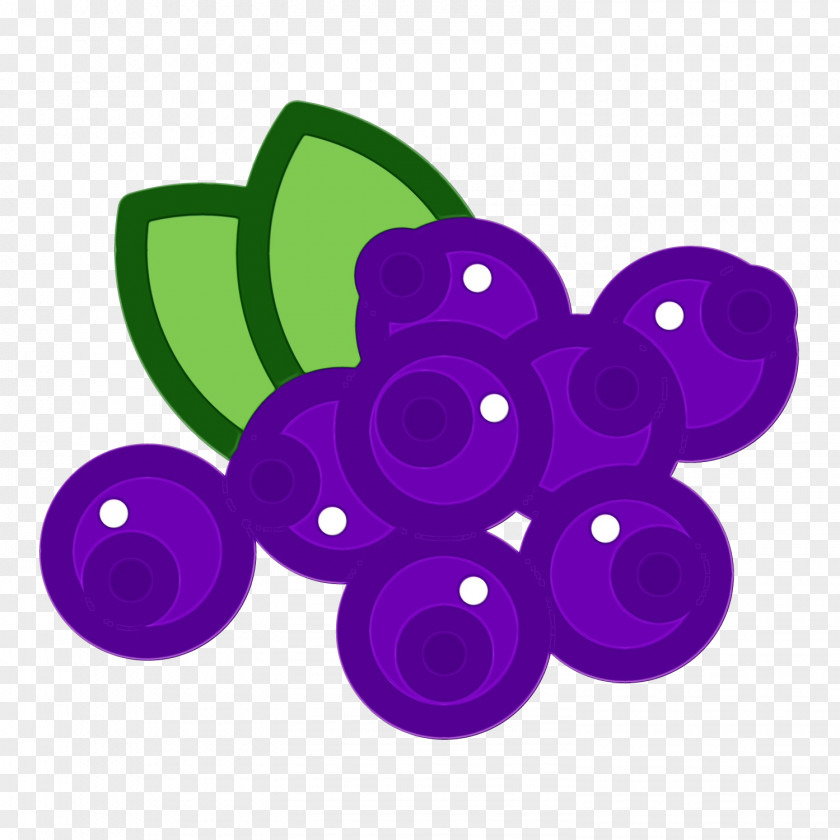 Violet Purple Grape Grapevine Family Fruit PNG