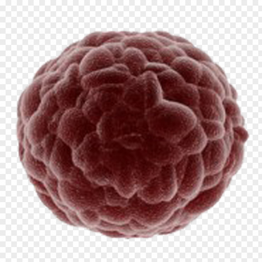 Cancer Cell Royalty-free Image Stock Photography PNG