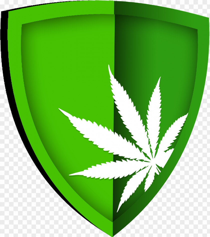 Cannabis System Traceability Regulation Hemp PNG