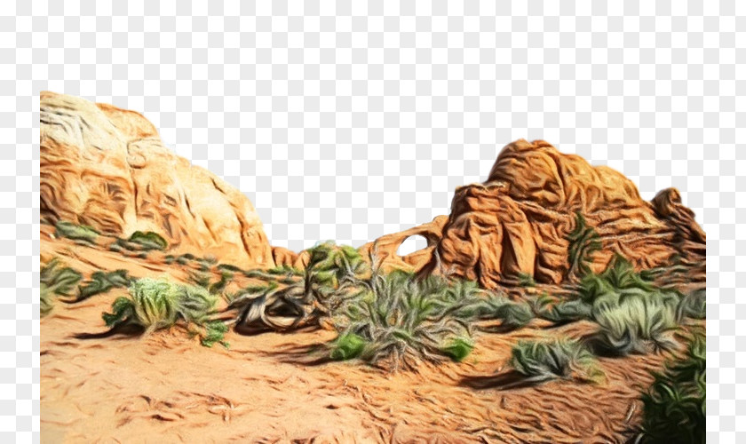 Desert Rock Landscape Plant Tree Grass PNG