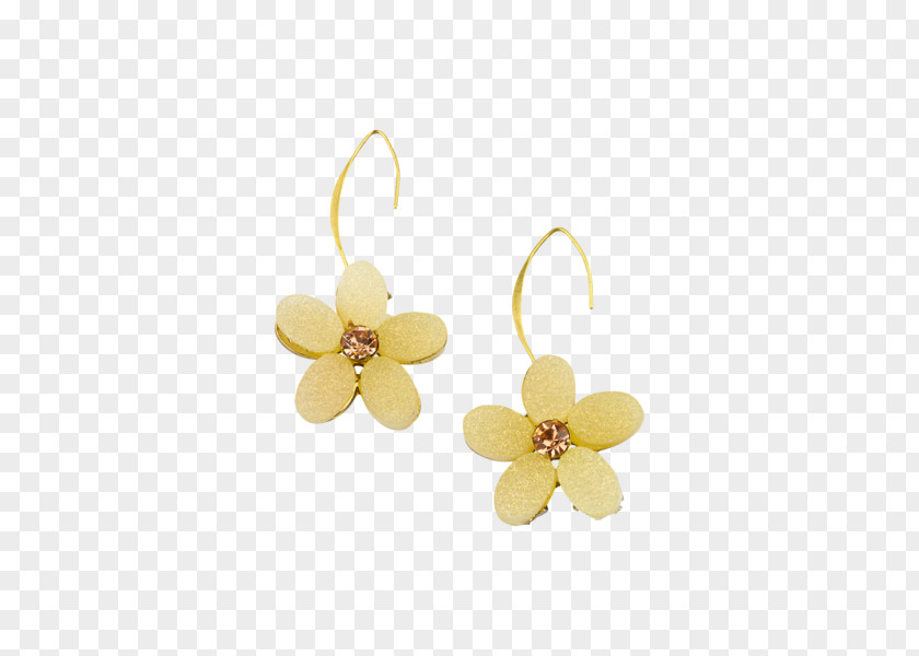 Earring Body Jewellery PNG