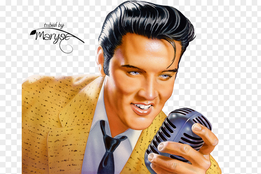 Elvis Presley Forever Stamp Graceland Postage Stamps PNG