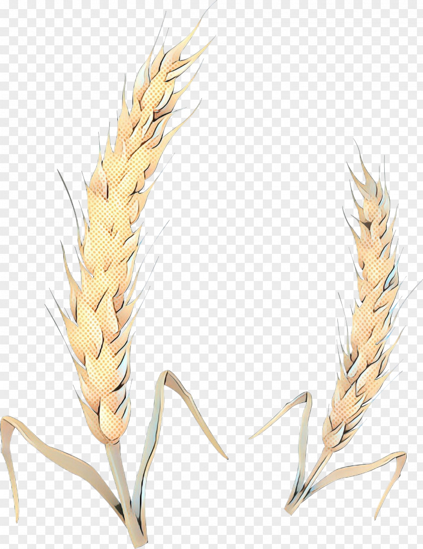 Fashion Accessory Feather Wheat Cartoon PNG