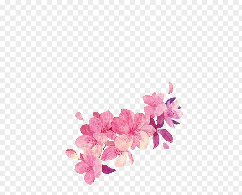 Flower Cut Flowers Watercolor Painting Clip Art PNG