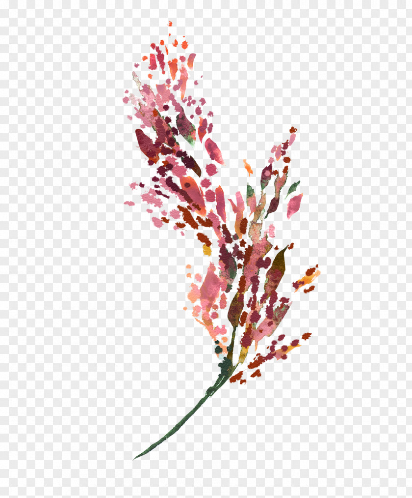 Flowering Plant Branch Watercolor Flower Background PNG