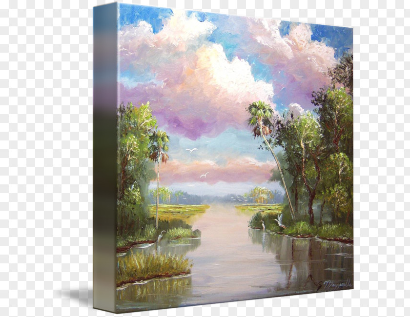 Painting Watercolor Everglades Oil PNG
