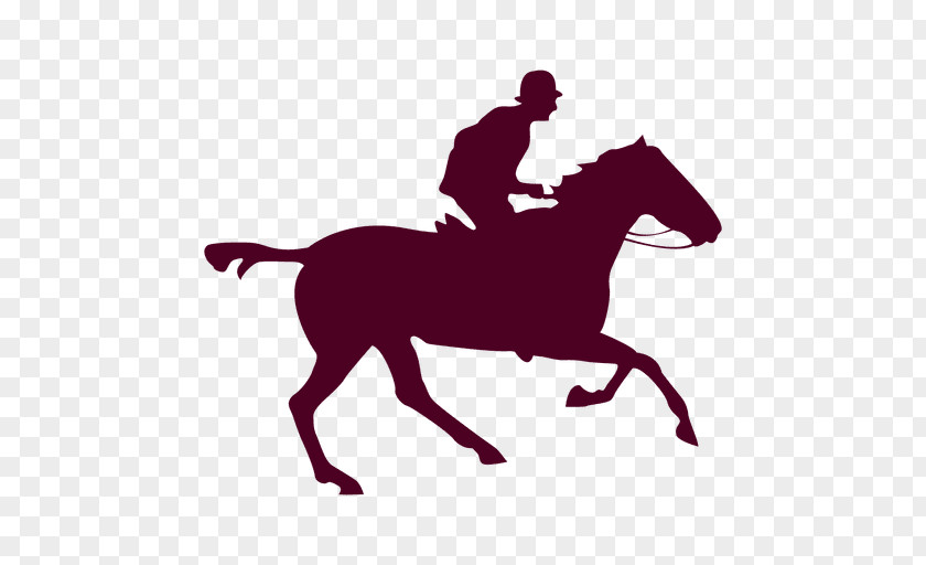 Riding Vector Horse Equestrian PNG