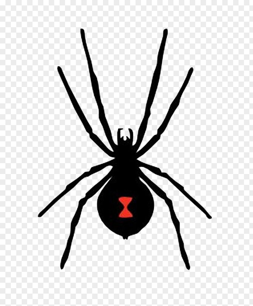 Spider Spider-Man Western Black Widow PNG