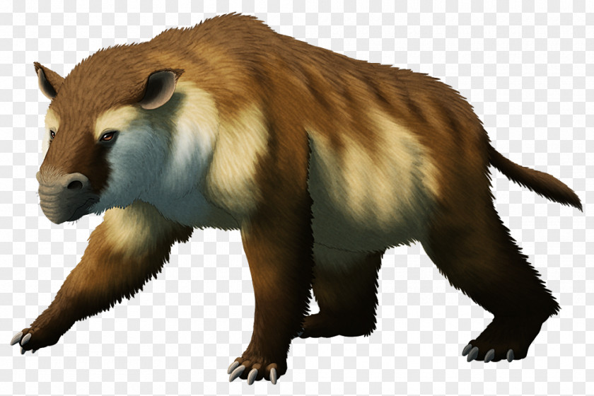 Beaver Bear Mammal Miocene Homalodotherium PNG