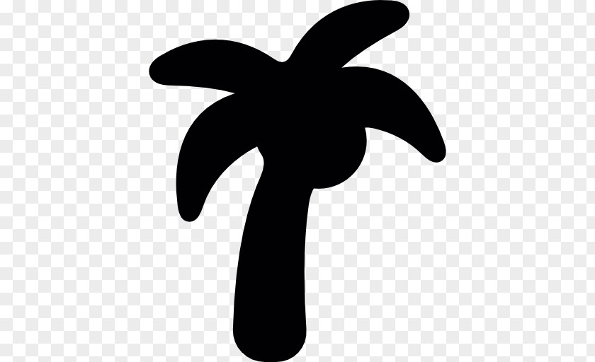 Coconut Arecaceae PNG