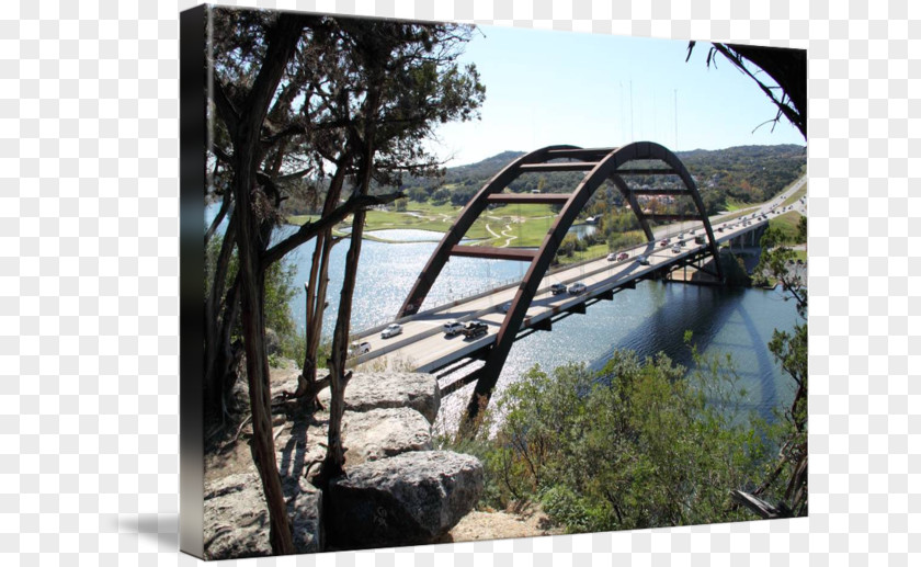 Erhai Lake Bridge Free And Arch Water Resources Tree PNG