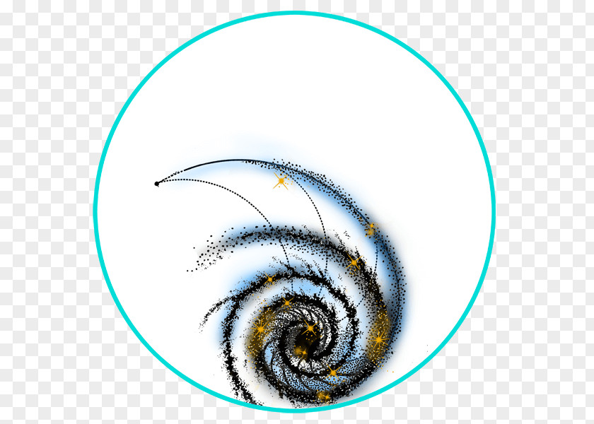 Eye Invertebrate Circle Font PNG