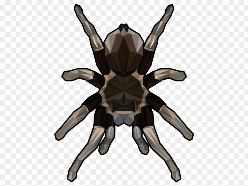 Hairy Men Tarantula Spider Art Clip PNG