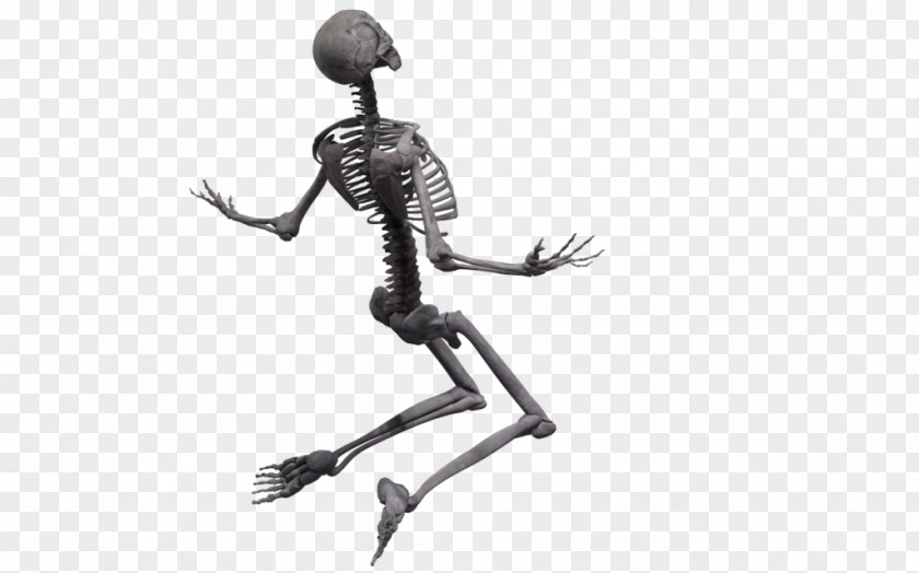 Human Bones Skeleton Joint Poser Rendering DeviantArt PNG