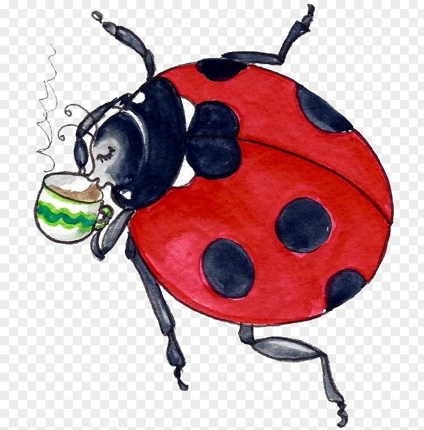 Insect Lady Bird PNG