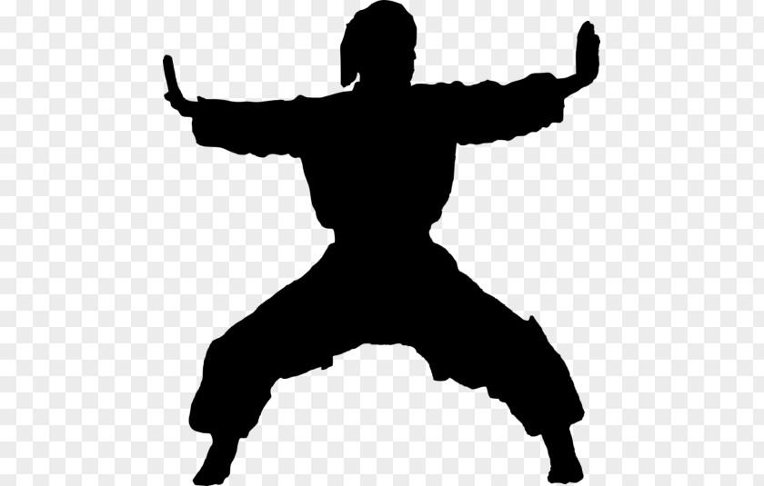 Karate Martial Arts Silhouette PNG