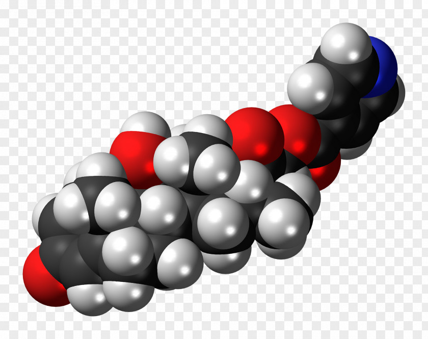 Lyme Disease Therapy Prolactin Symptom E. Coli PNG