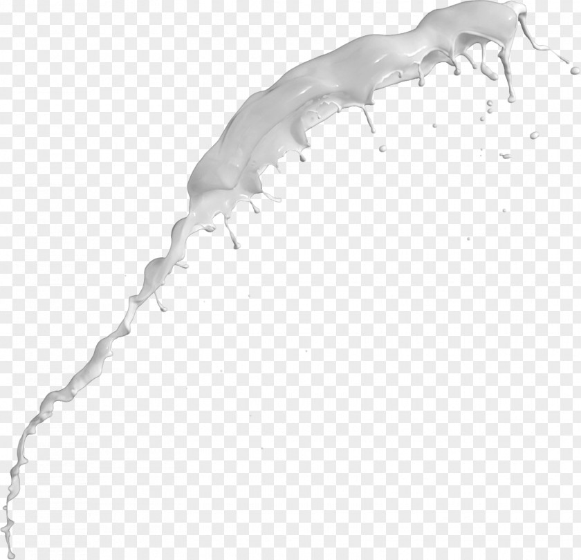 Milk White Clip Art PNG