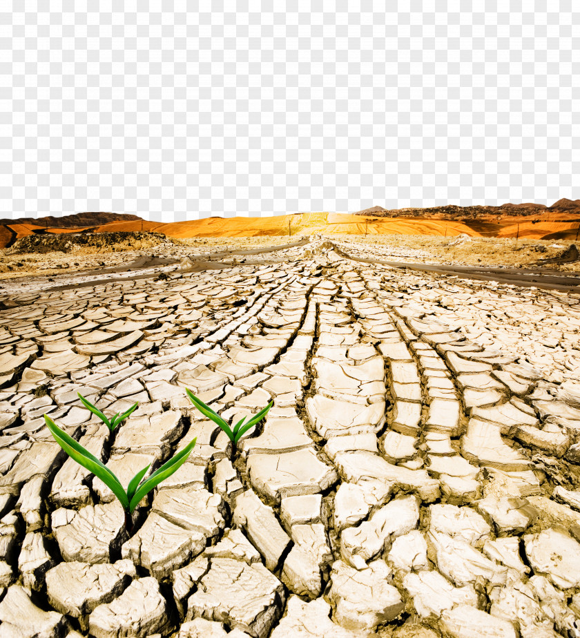 Severe Water Shortage World Day To Combat Desertification And Drought Drylands PNG