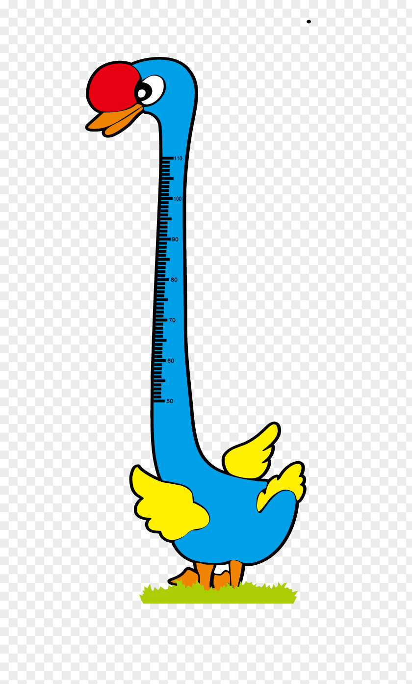 Swan Feet Tall Cygnini Human Height Clip Art PNG