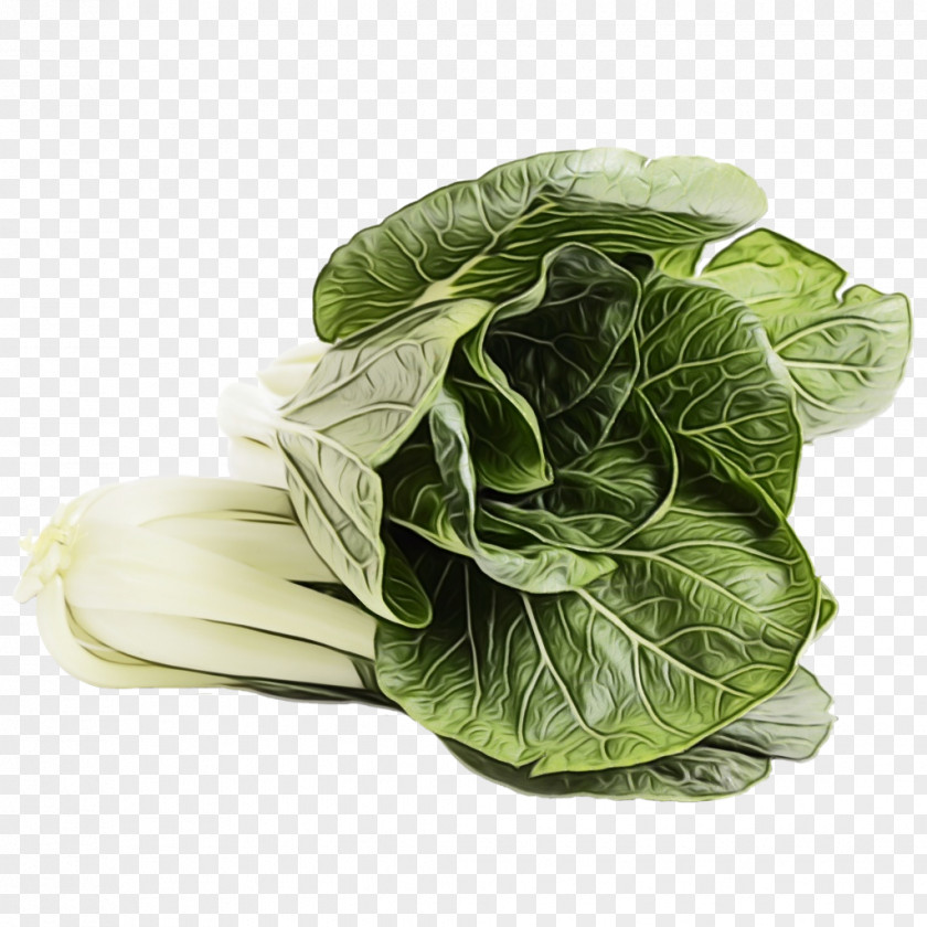 Wild Cabbage Savoy Vegetable Leaf Collard Greens PNG