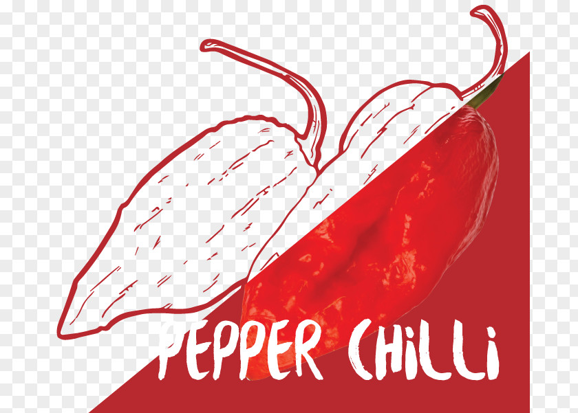 Chili Pepper Cayenne Bell Peperoncino Malagueta PNG