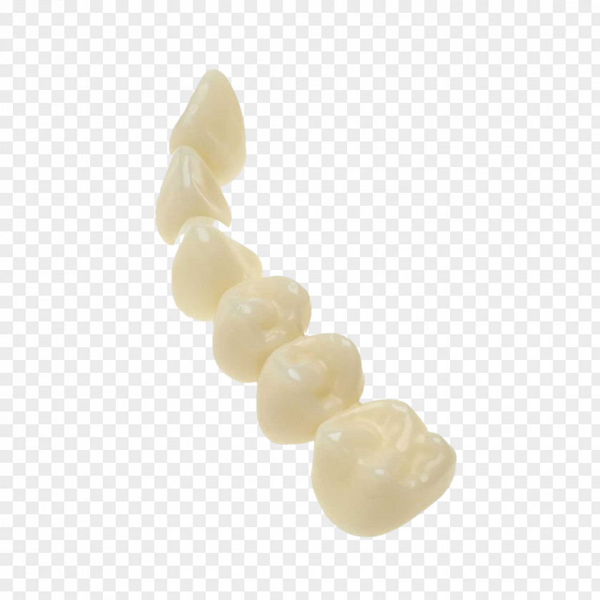 Dent Human Tooth Dentistry 3D Printing PNG
