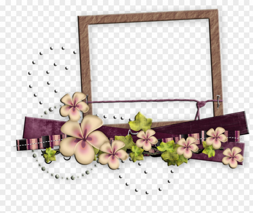 Design Floral Picture Frames Petal PNG