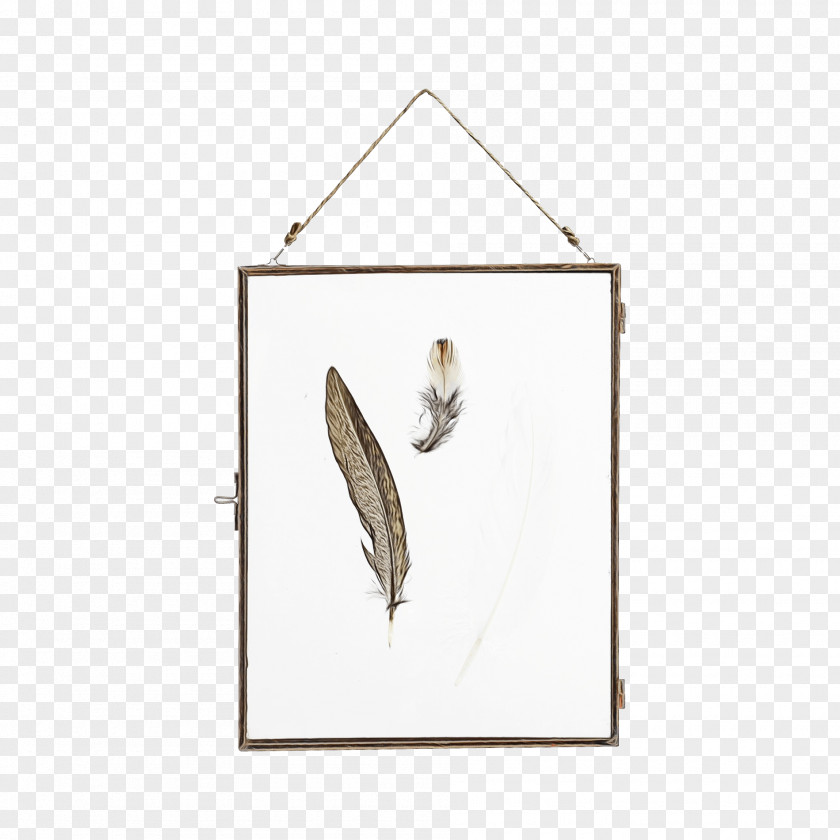 Drawing Leaf Picture Frame PNG
