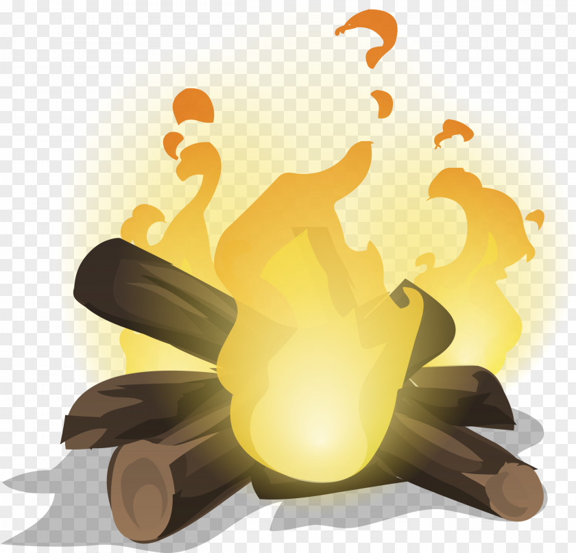 Fire Triangle Light Combustion PNG