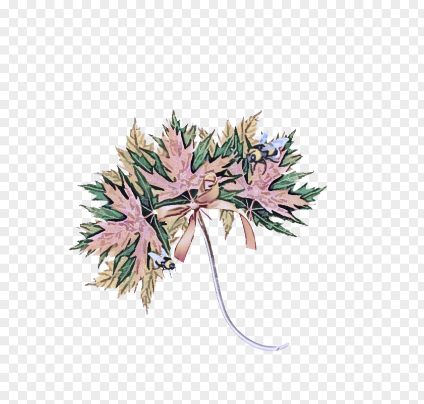 Pine Family Leaf Tree Plant Flower Pink PNG