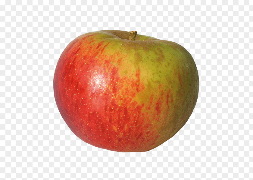 Pommes McIntosh Red Reinette Russet Apple Fruit PNG