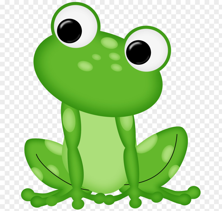 Rana Frog Clip Art PNG