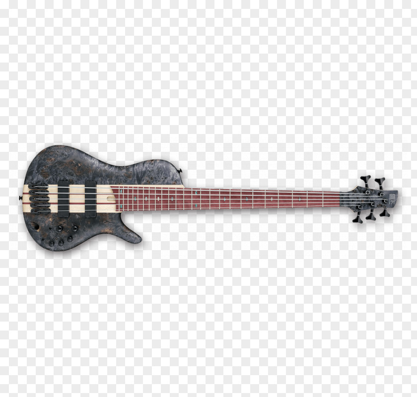 Bass Workshop SRSC805-DTF Cerro Deep Twilight Flat StringBass Guitar Ibanez PNG