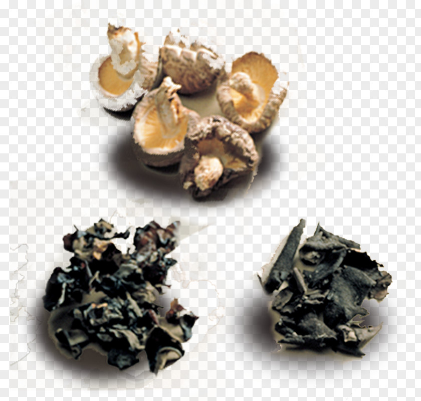 Dried Fungus Mushrooms Creative Common Mushroom Shiitake Oyster PNG