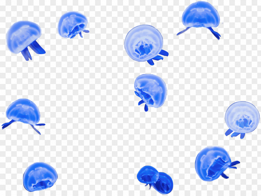Fish Marine Invertebrates Jellyfish Shark Blue PNG