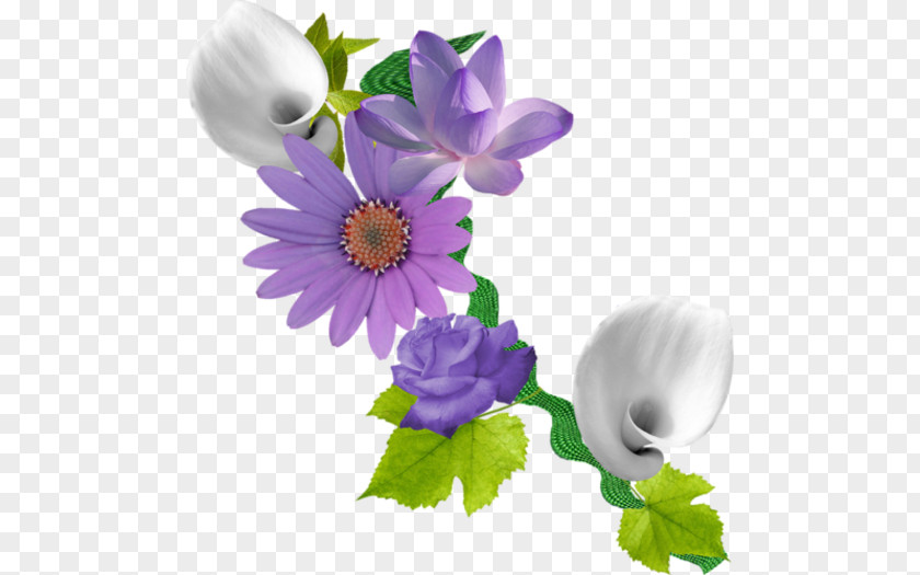 Flower Blog PNG