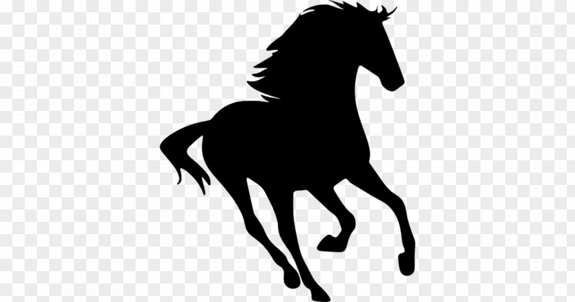 Horse Standing Silhouette Drawing Clip Art PNG