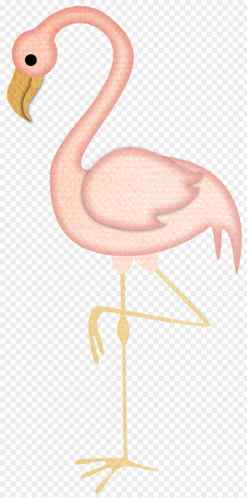 Pink Goose Domestic Flamingos Grey PNG