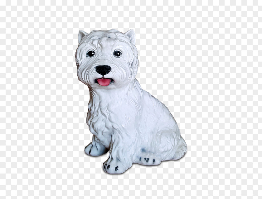 Russell Terrier West Highland White Cairn Miniature Schnauzer Schnoodle Maltese Dog PNG