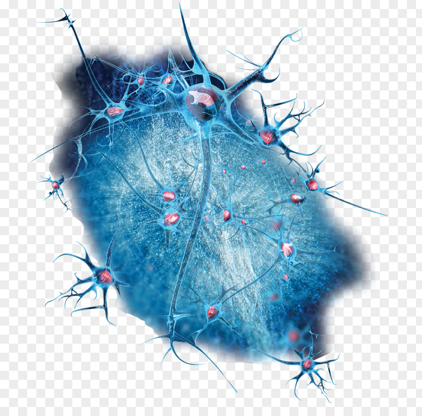 Telemetry Neuroscience Of Sleep Electrophysiology Biology PNG