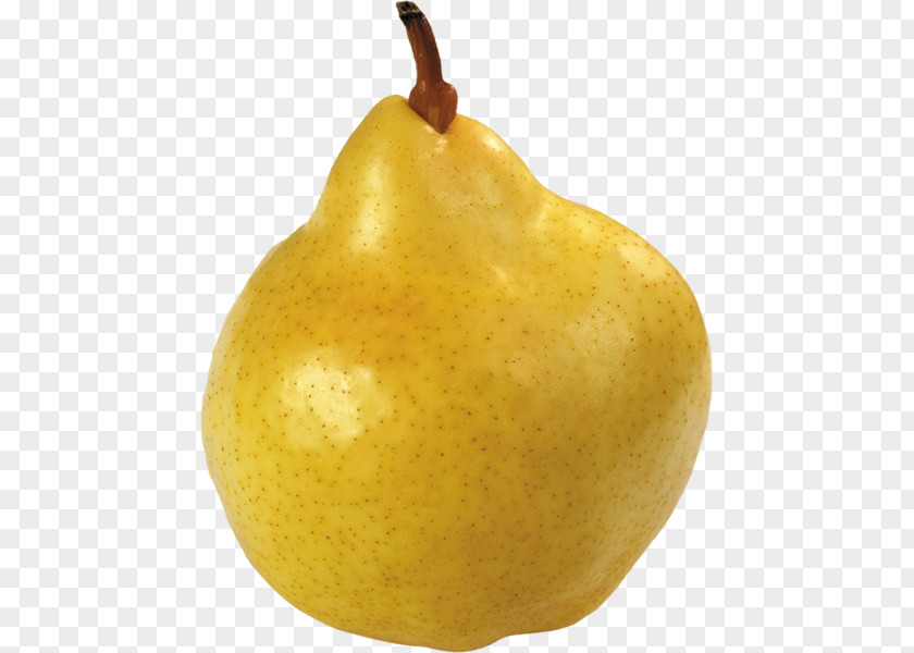 Chaumeen Asian Pear Clip Art Fruit Image PNG