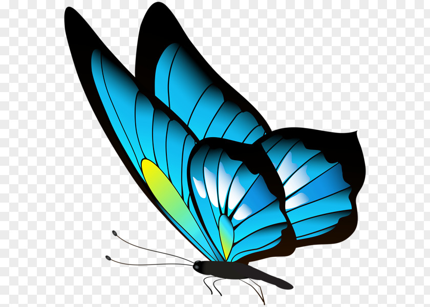Red Butterfly Clip Art PNG
