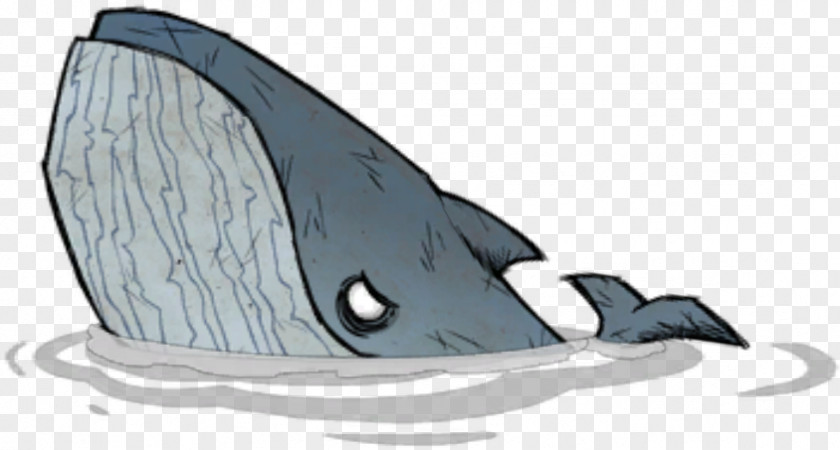 Blue Whale Image Whales Wiki PNG