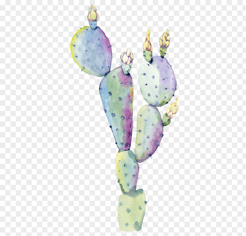 Cactus Plant Succulent Watercolor: Flowers Watercolor Painting Saguaro PNG