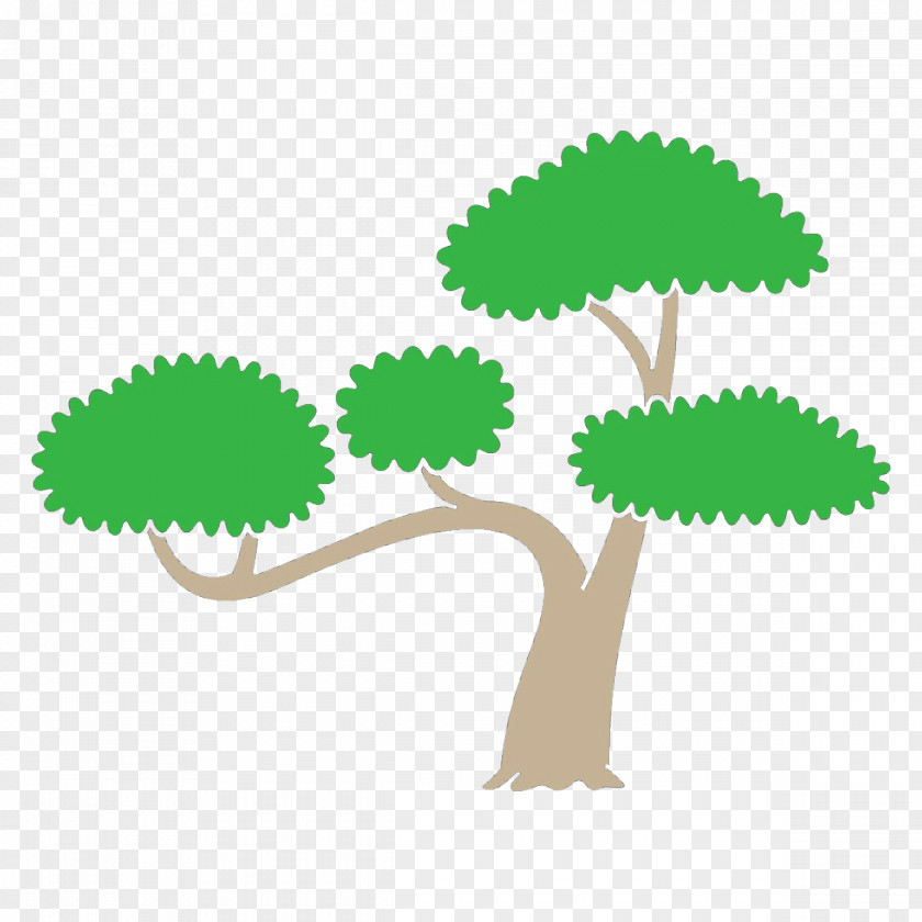 Green Tree Leaf Plant Grass PNG