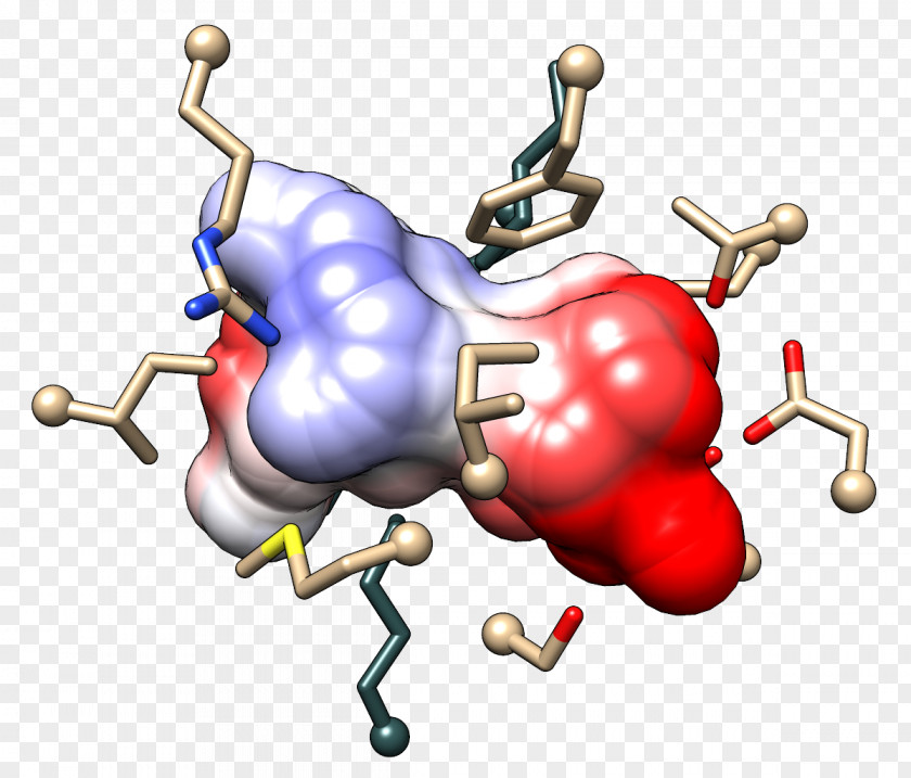 Meng Da Visualization Active Site Resource PNG