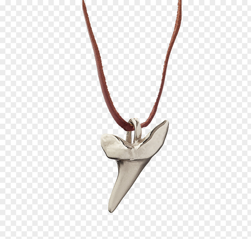 Shark Charms & Pendants Tooth Jewellery Charm Bracelet PNG