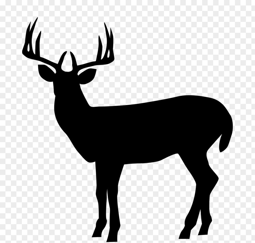 Silhouette Roe Deer Clip Art Illustration Elk PNG