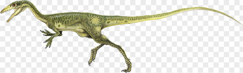 Dinosaur Procompsognathus Brachiosaurus Jurassic Park PNG